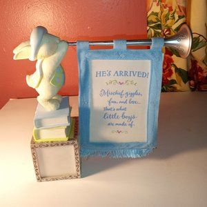 BUNNY RABBIT ANNOUNCEMENT OF BABY BOY HAS ARRIVED NURSERY ROOM DECOR